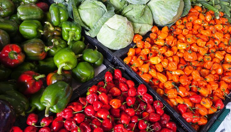 organik tarim yontemleri topraginizi ve bitkilerinizi dogal yollarla n