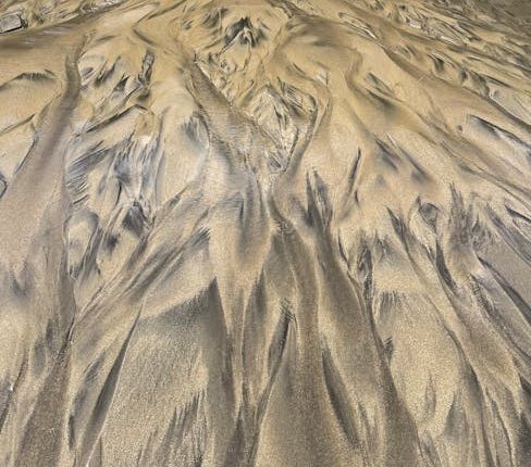 where does tarhana herb grow